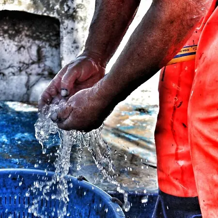 Ittiturismo Il Vecchio E Il Mare Grottammare