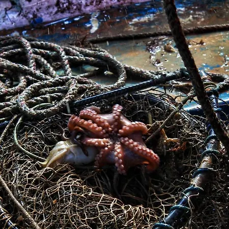 度假居 Ittiturismo Il Vecchio E Il Mare