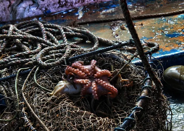 Σπίτι διακοπών Ittiturismo Il Vecchio E Il Mare