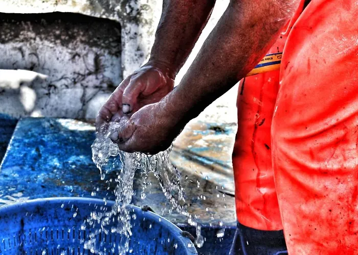 Ittiturismo Il Vecchio E Il Mare Grottammare