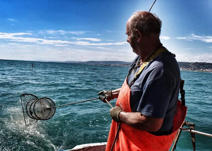 Ittiturismo Il Vecchio E Il Mare